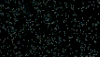 5042 Simli Siyah
