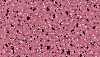260200-SM-SG-LEVEND