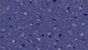 260400-SM-SG-LEVEND